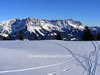 Stunning views from the top of the Scheffau ski area